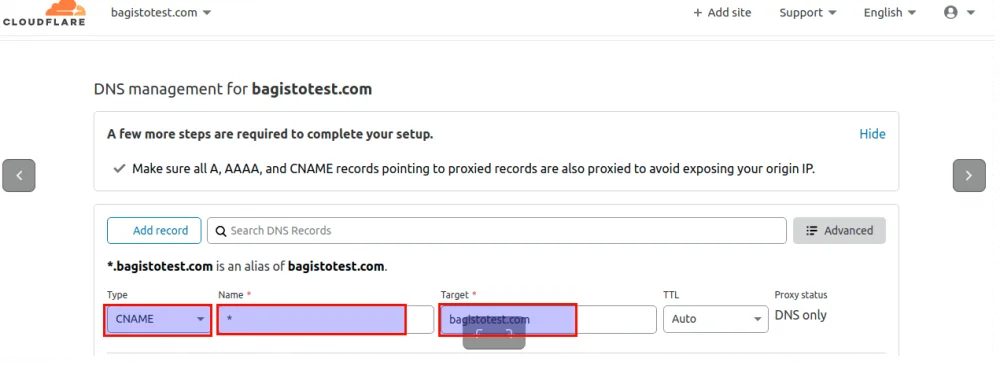dns managment