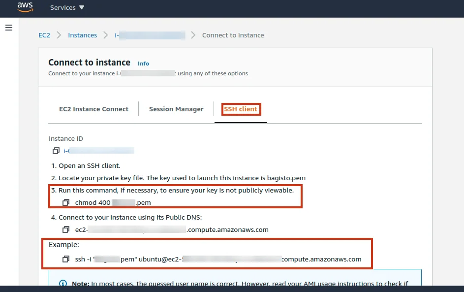 connect to instance