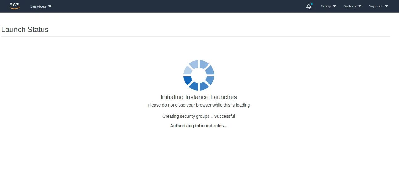initiating instance launches