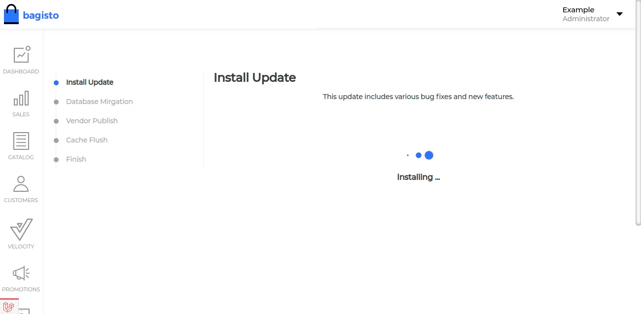 bagisto install update