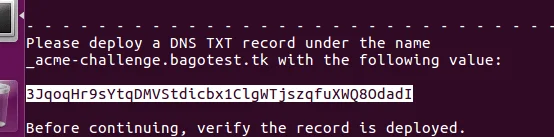 txt record