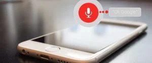 voice search changes