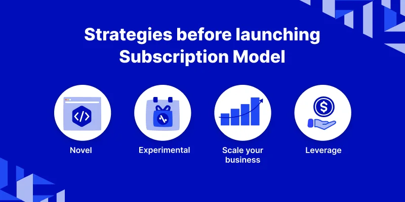 strategies-before-launching-subscription-model