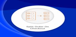 Split order on checkout