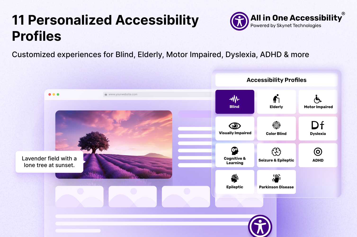 All in One Accessibility Slider Image 6