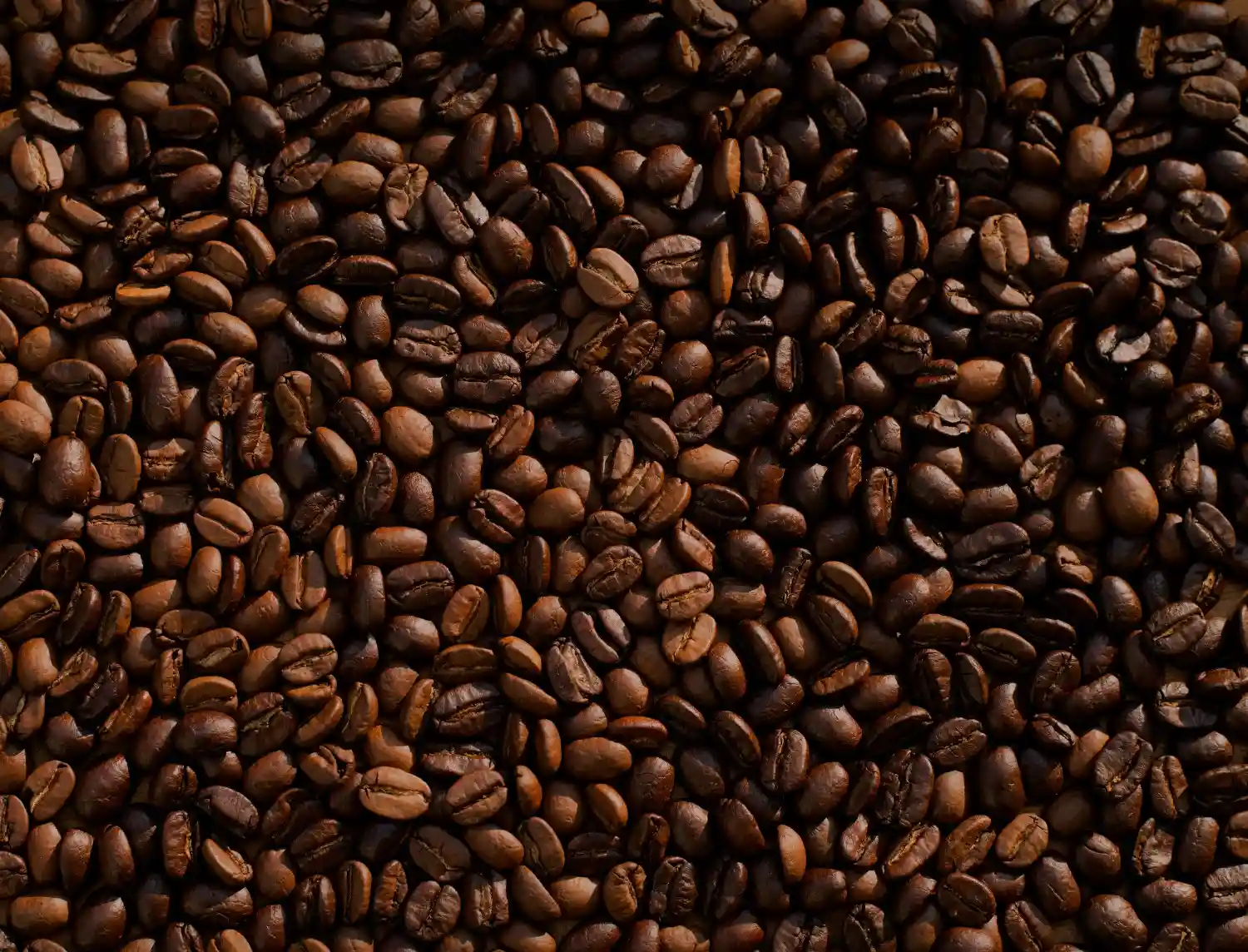 ase-study-bagreat-coffee-store-image