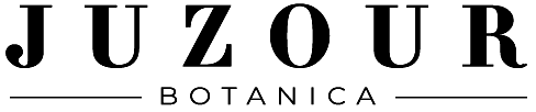 case-studies-image