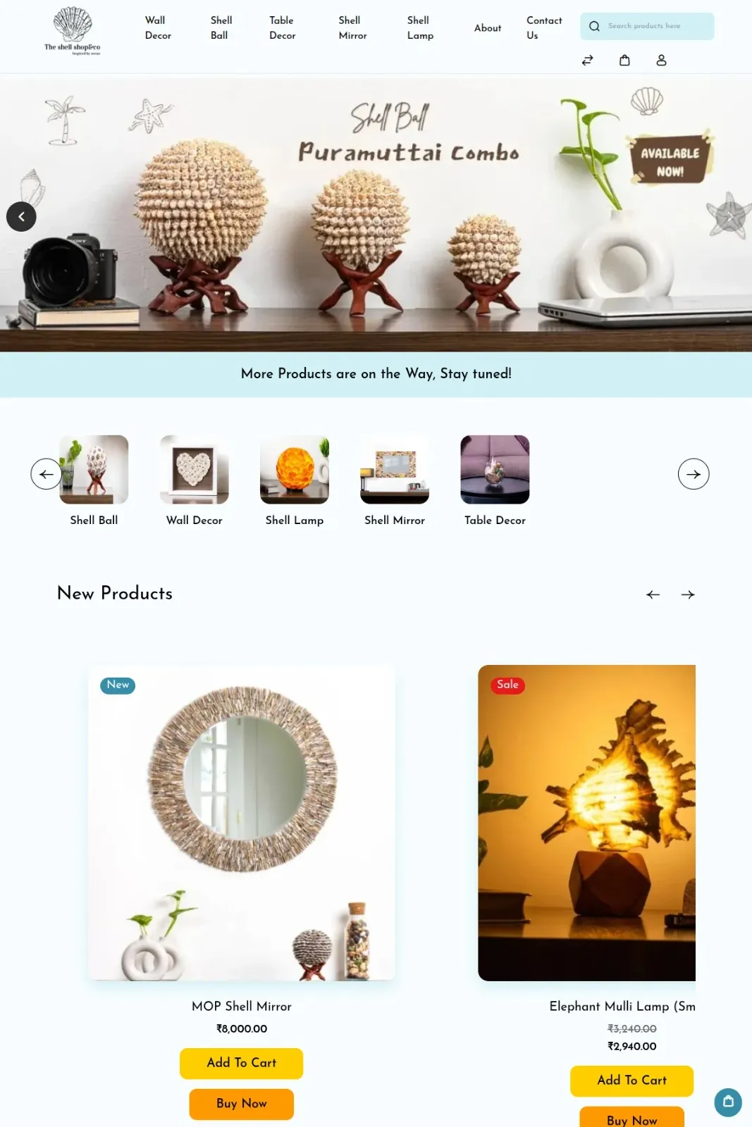 the-shell-shop-Case-Study-store-full