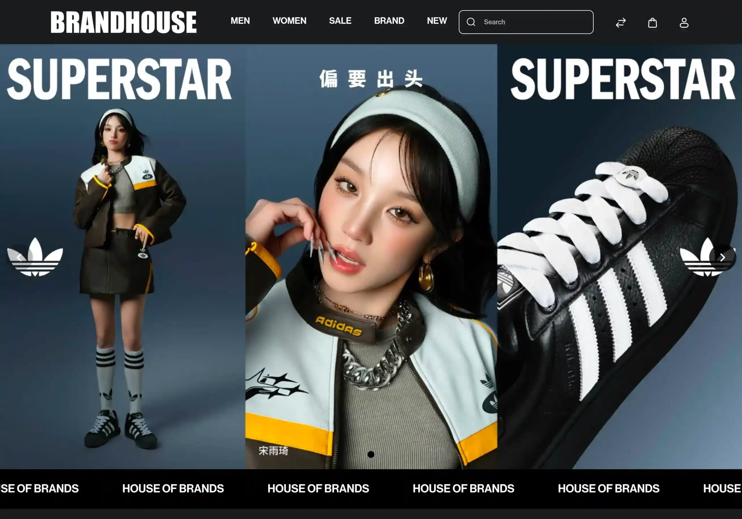 brandhouse-bagisto-case-study-homepage1-scaled.webp 