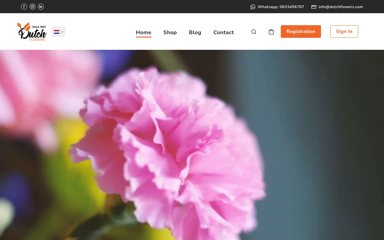 dutch-flowers-case-study-homepage