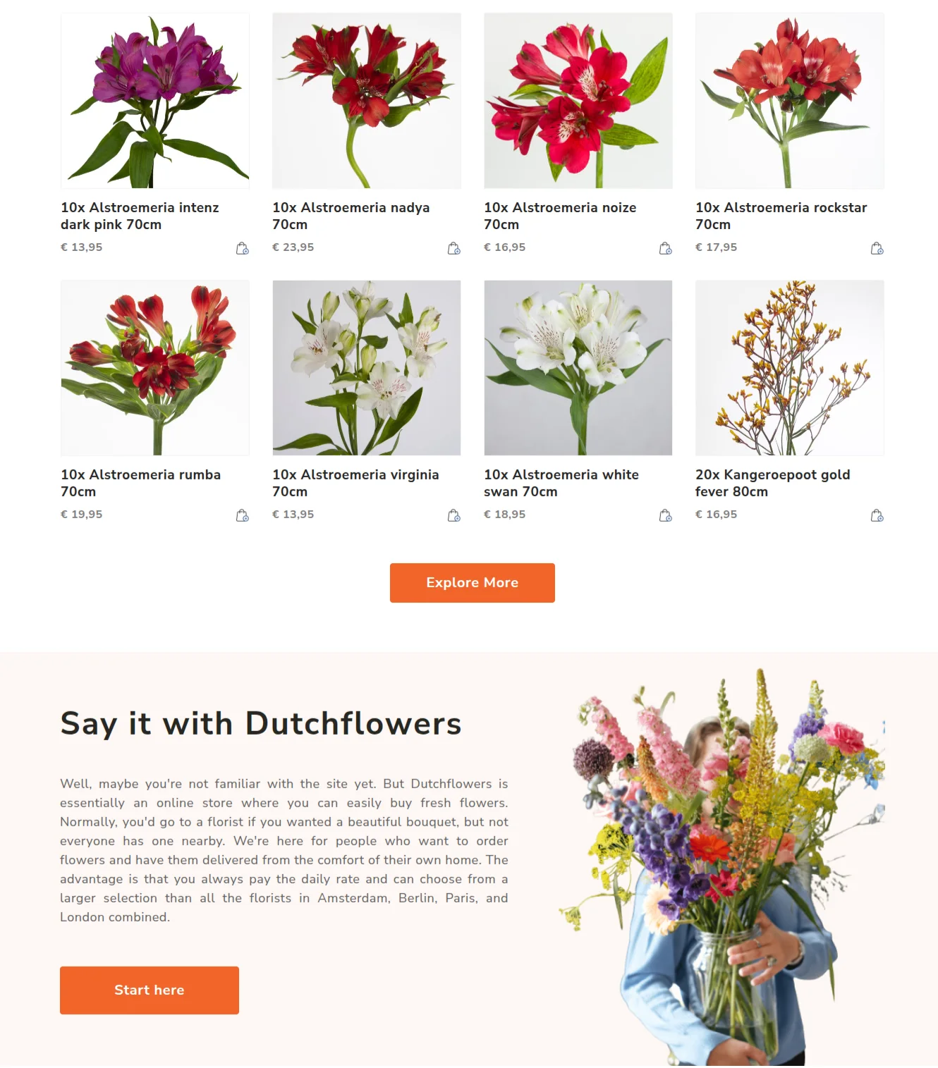 dutch-flowers-case-study-solution 