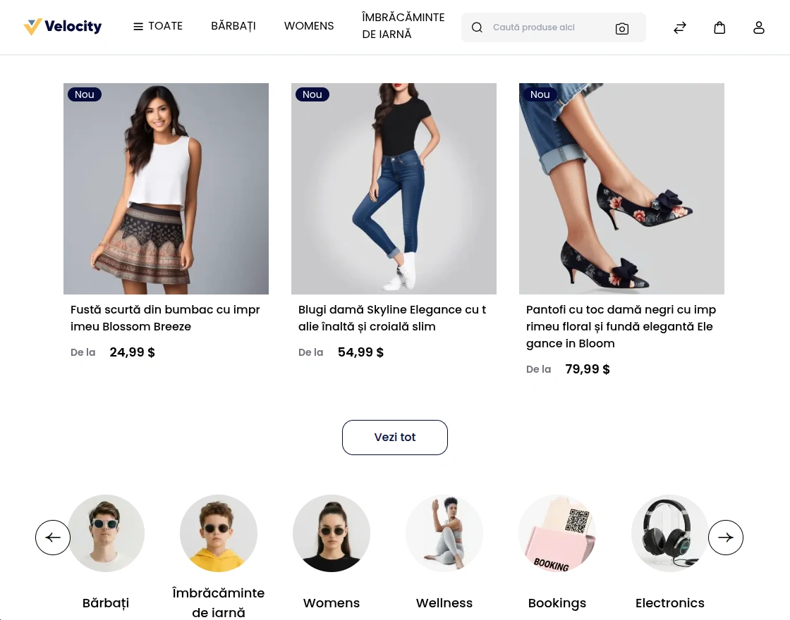 Bagisto version 2.4.2 romanian-lang