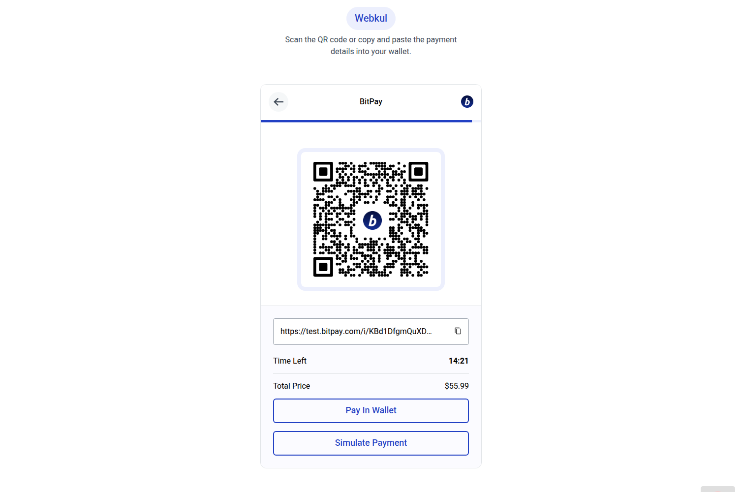 Bagisto BitPay Payment Gateway Extension Slider Image 5