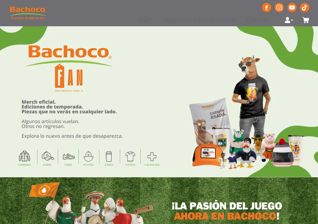 bachoco-case-study-homepage
